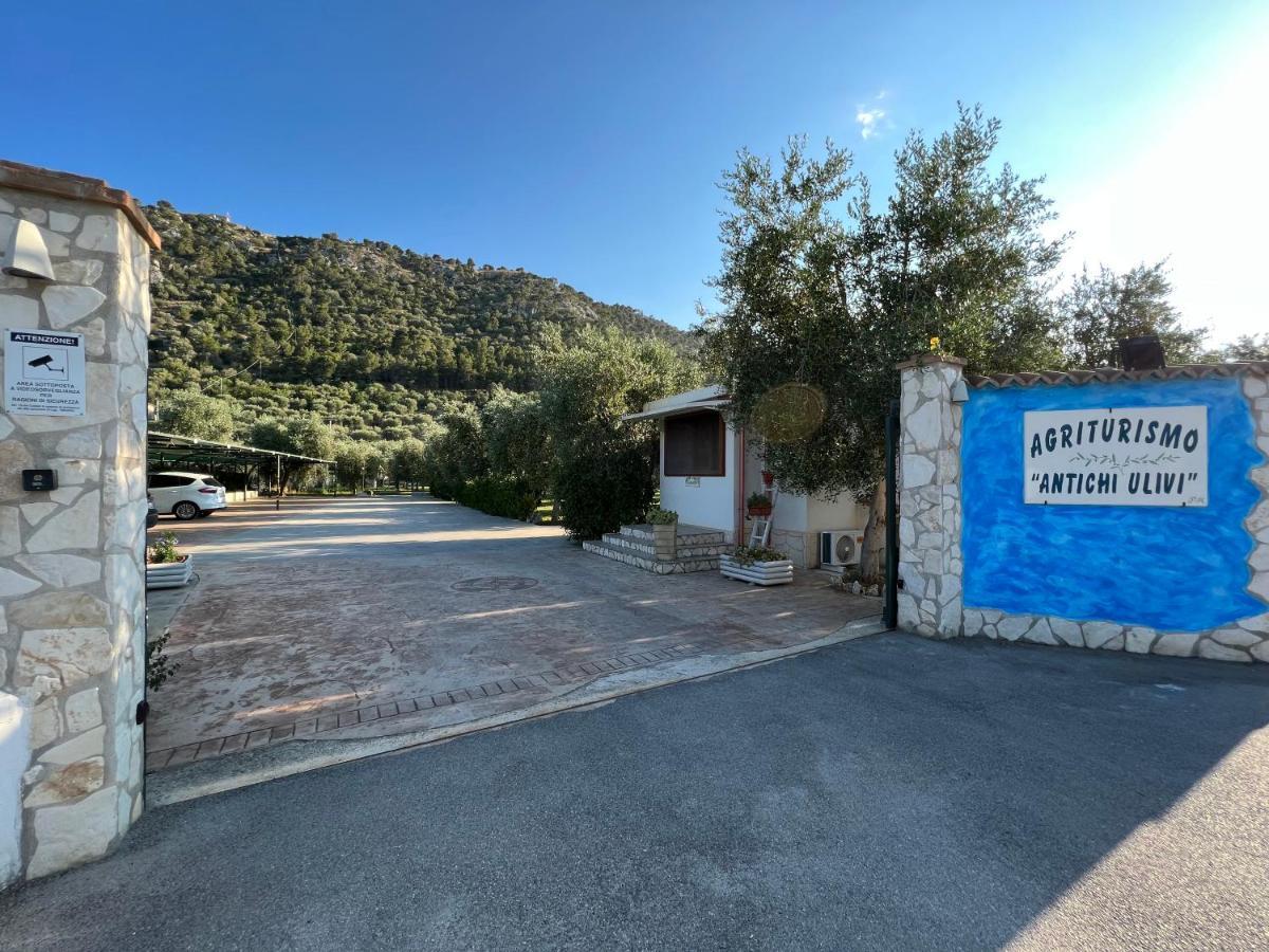 Agriturismo Antichi Ulivi Mattinata Buitenkant foto