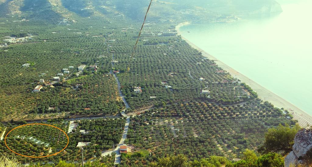Agriturismo Antichi Ulivi Mattinata Buitenkant foto