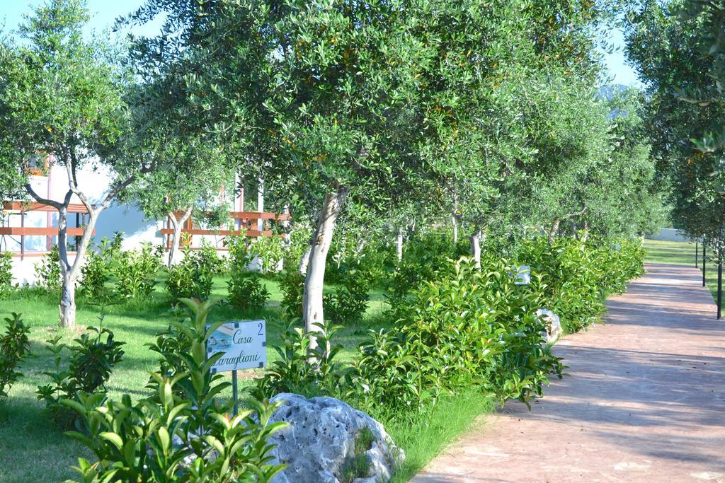 Agriturismo Antichi Ulivi Mattinata Buitenkant foto