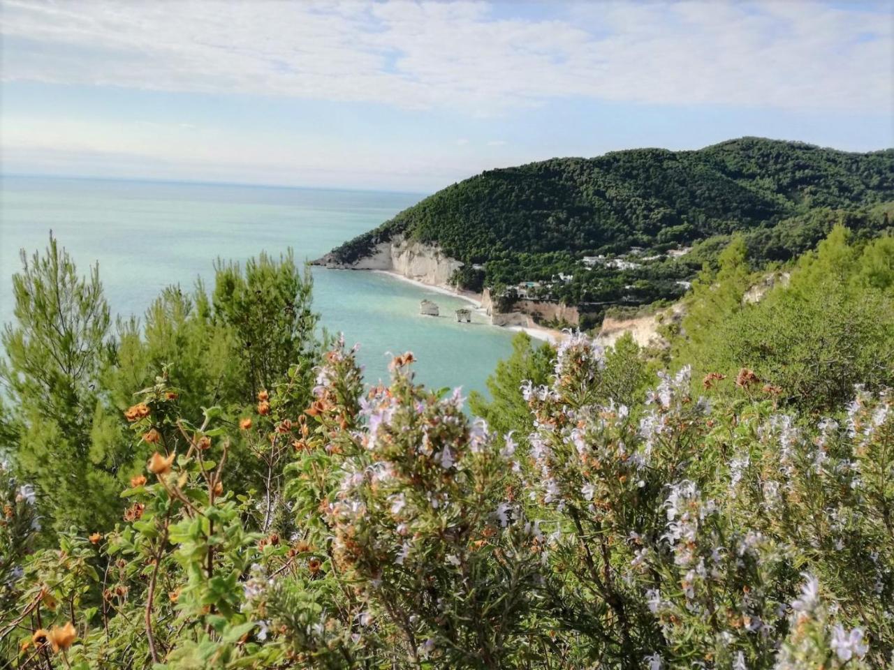 Agriturismo Antichi Ulivi Mattinata Buitenkant foto