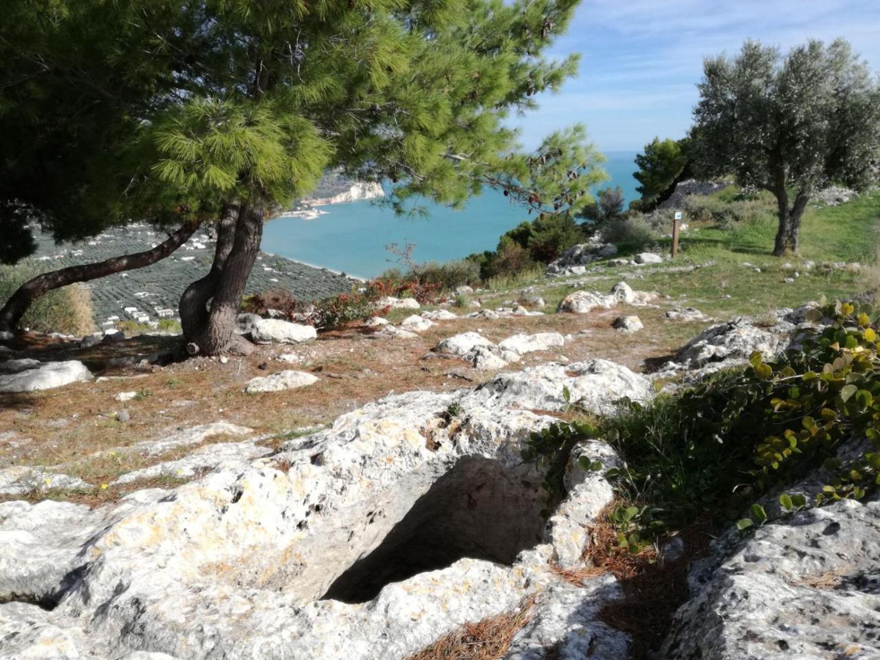 Agriturismo Antichi Ulivi Mattinata Buitenkant foto