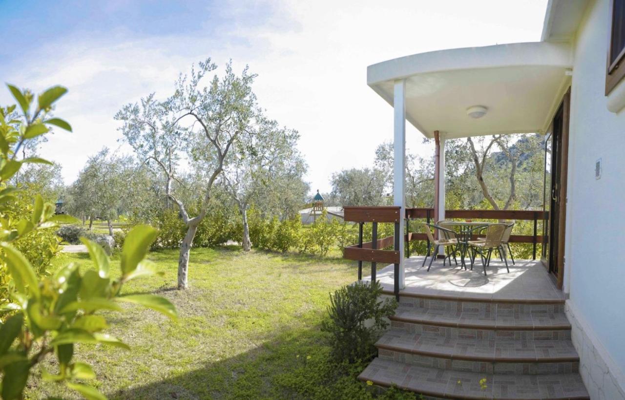 Agriturismo Antichi Ulivi Mattinata Buitenkant foto